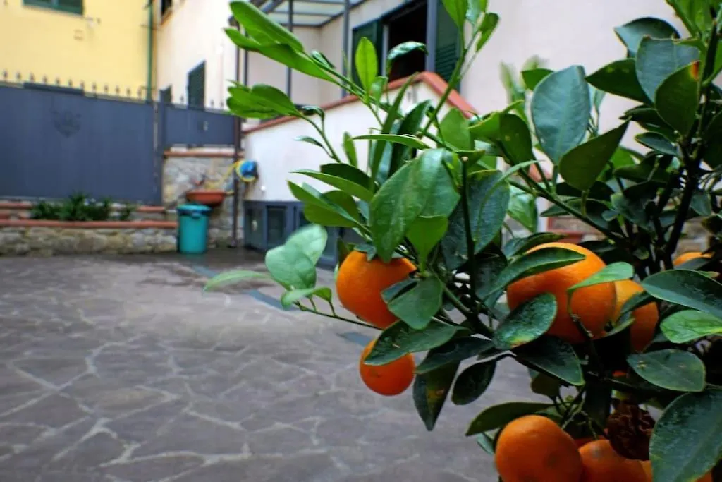 Apartment Casa Allegra Firenze Italy